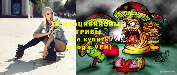 эйфоретик Лихославль