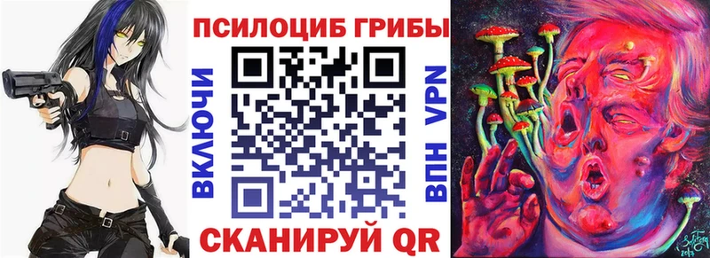 Галлюциногенные грибы мицелий  Купить  Хасавюрт 